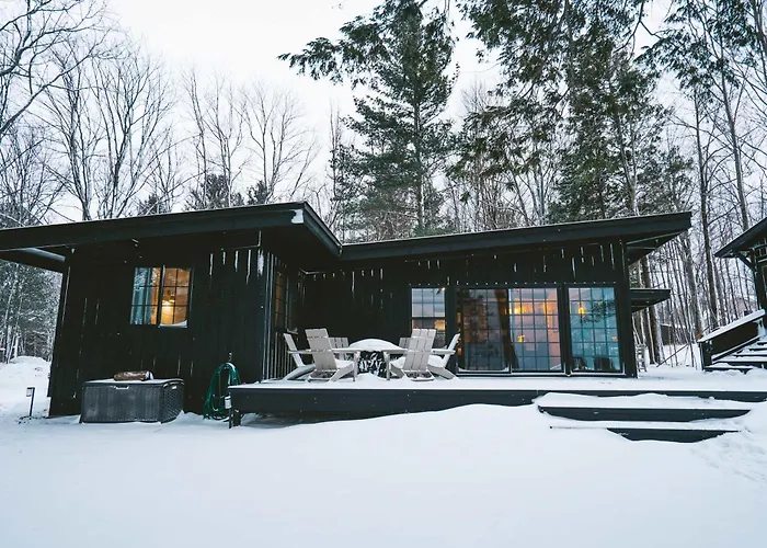 Treetops Of Lake Michigan Beach Front And Spa Family Home